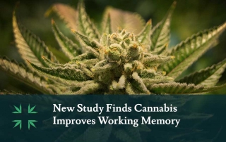Study cannabis improves working memory