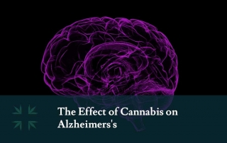 effect cannabis alzheimers