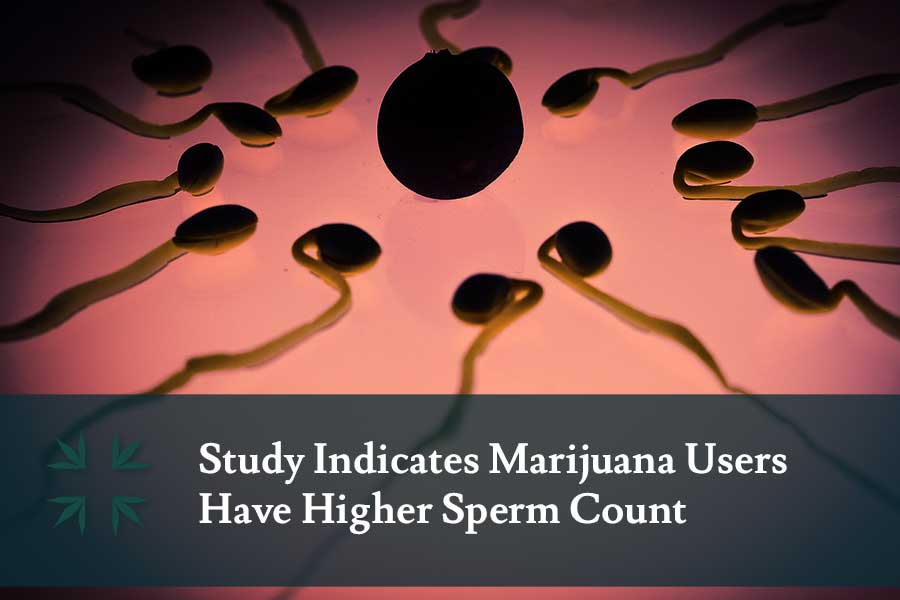 Study Marijuana Users Have Higher Sperm Count