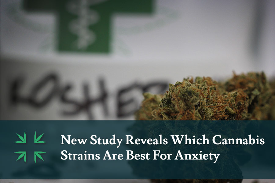 best cannabis strains anxiety