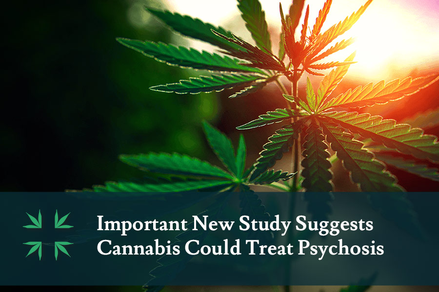 cannabis can cannabis can treat psychosis studytreat psychosis study