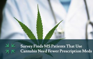 MS cannabis users need fewer prescription medications